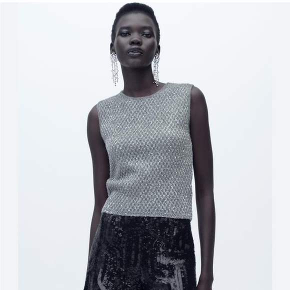 Zara Tops - Zara NWT knit top with metallic threads and sequins silver 9598/209
